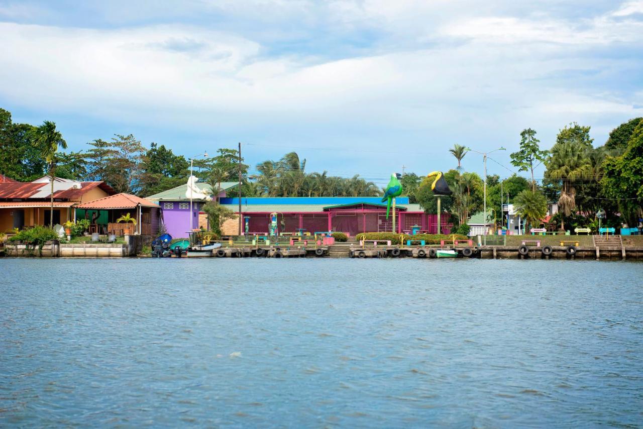 The Corner House Apartment Tortuguero Exterior photo